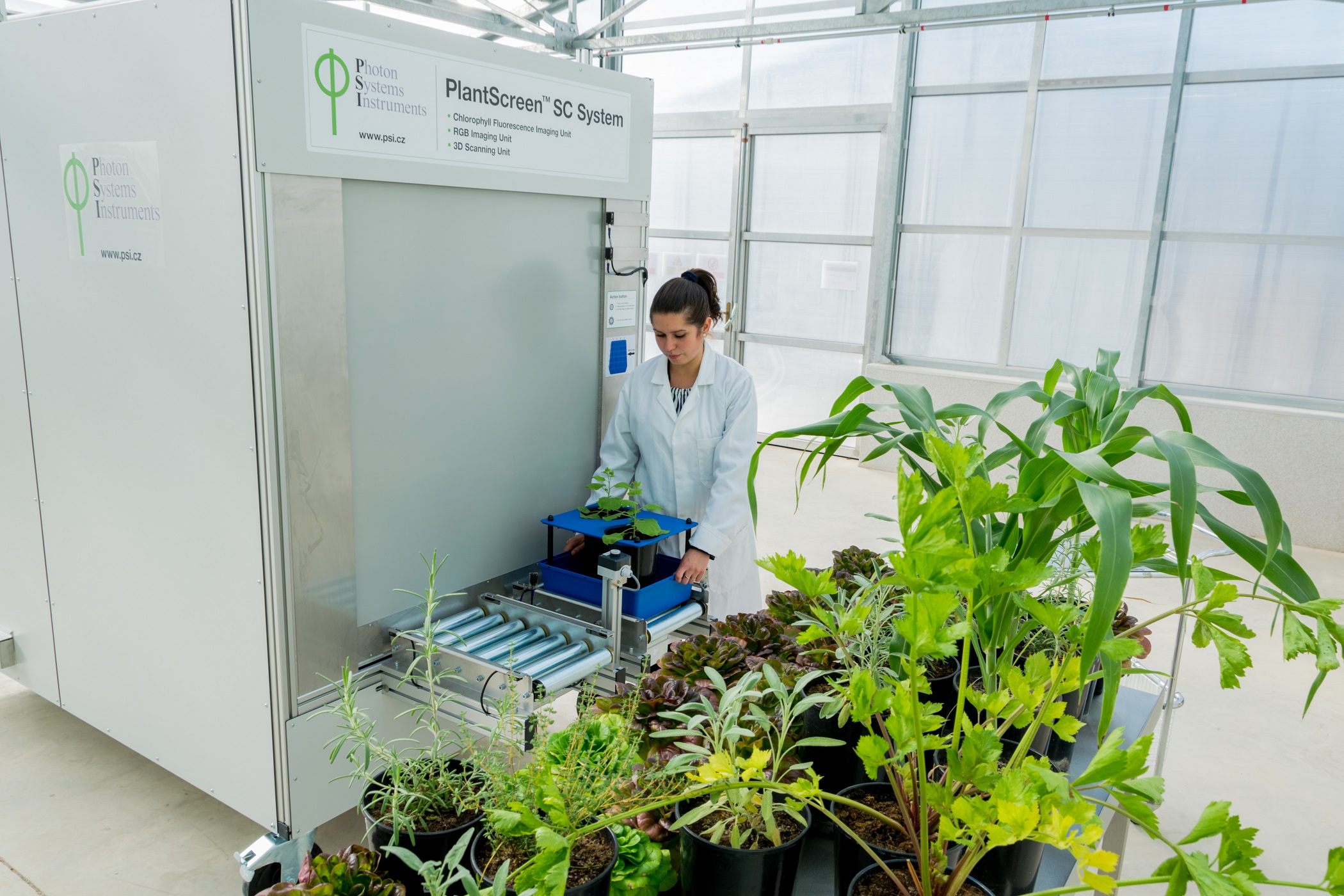 Сайт лаборатории эфис. Интеллектуальные системы растения. Субстраты для культивирования биообъектов. Биообъект.